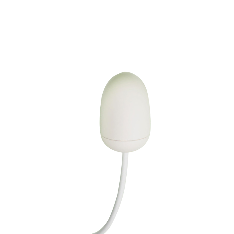 Sucking Vibrating Egg Pulse Female Vibrator Flirting Massager